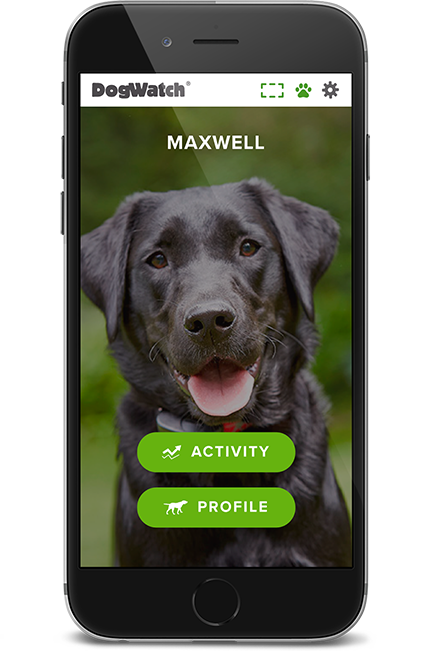 DogWatch of the Ozarks SW MO, Strafford, MIssouri | SmartFence WebApp Image