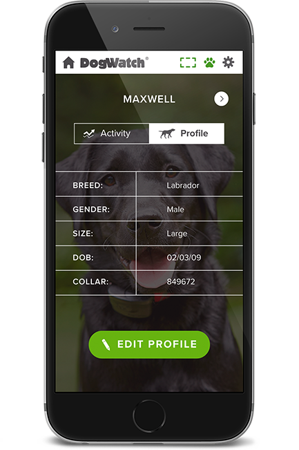 DogWatch of the Ozarks SW MO, Strafford, MIssouri | SmartFence WebApp Image